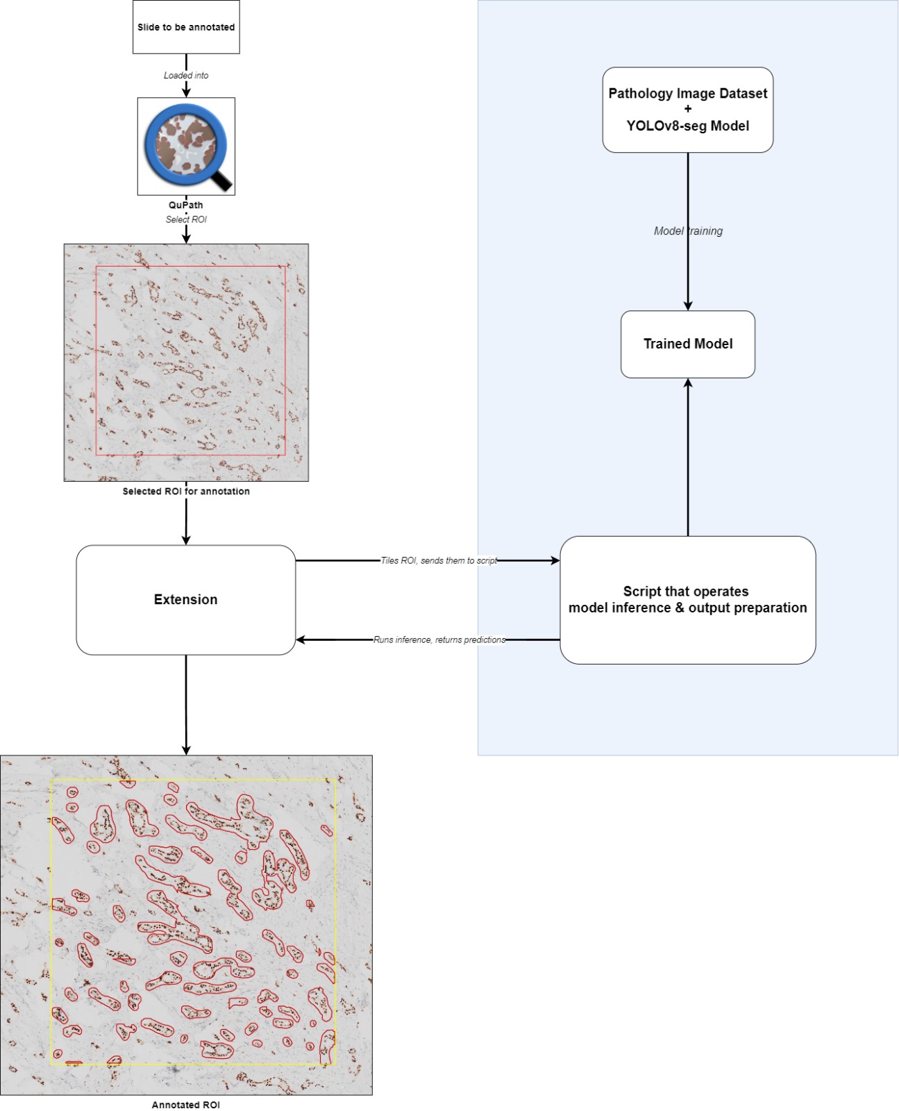 Workflow of the extension.